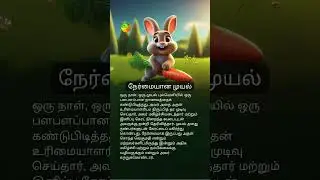 நேர்மையான முயல் 🐇