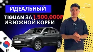 Идеальный TIGUAN за 1,500,000 руб из Южной Кореи