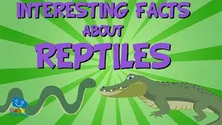 INTERESTING FACTS ABOUT REPTILES | Educational Video for Kids.