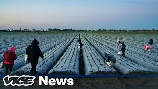 Californias Burning, and Farmworkers Are Still in the Fields