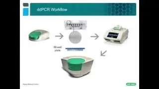 Droplet Digital™ PCR Tips & Tricks: ddPCR™ Assay Design