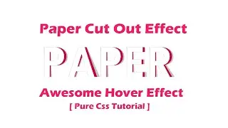 Paper Cut Out Animation Hover Effect | Pure Css Tutorial | @Codes Tutorials