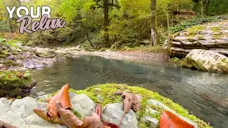6 Hours of Gentle Mountain River for Relaxation, Meditation and Sleep
