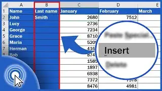 How to Insert Column in Excel | MS Excel Tutorial #34