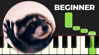 Pedro Pedro Raccoon Meme - Easy Piano Tutorial