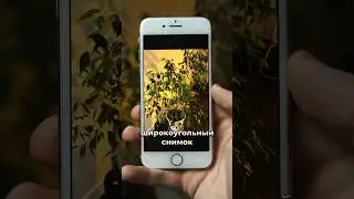 Что делать если в смартфоне НЕТ ШИРОКОУГОЛЬНОЙ камеры?