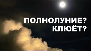 5% OF MEN KNOW THAT / HOW DOES THE MOON ON THE QUIET HUNT