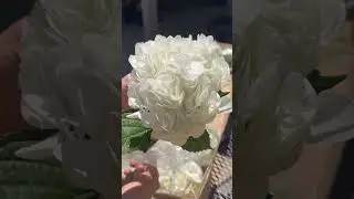 The ULTIMATE Wedding Decor Hack! 🤯 