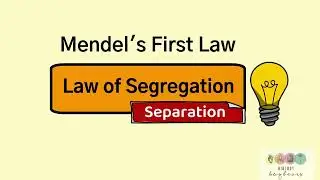 Mendels Law of Segregation-Leaving Cert Biology Genetics