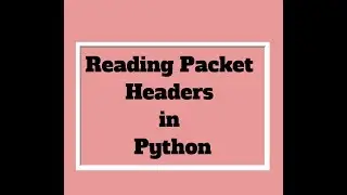 Reading Packet Headers in Python