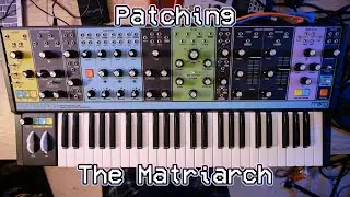 Ambient Lead Patching On The Moog Matriarch!