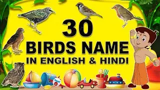 Birds Name 🐦 | Birds Name in English & Hindi | पक्षियों के नाम 🐤| #birdsnamewithpictures #birds