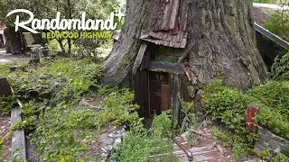 Has this World-Famous Attraction been Abandoned? The Redwood Highway US-101