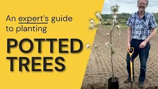 How To Plant a Potted Tree | Step by Step | For Beginners