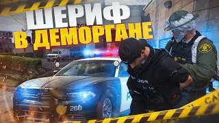 ОТКИНУЛИ ПИВНОГО ШЕРИФА В ДЕМОРГАН В GTA 5 RP / MAJESTIC RP