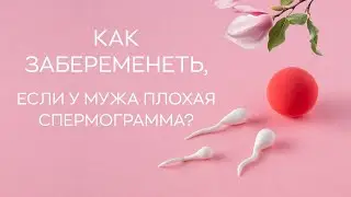 🧫​ Как забеременеть, если у мужа плохая спермограмма?