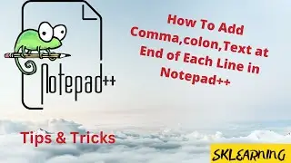 How To Add Comma, Colon, Text at  End of Each Line in Notepad++