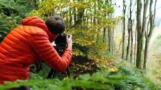 The Magic of Autumn Photography