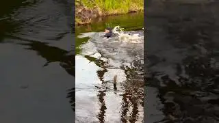 Он Утонул НЕ Перешел Эту Реку В Брод!!!Потонул Со Всеми Потрохами😱😱😱