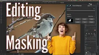 Editing & Masking Wildlife in On1 Photo Raw
