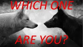 Which Wolf Will You Feed?