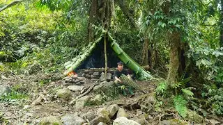 Building Survival Shelter Under a Tree by the Stream, Fish Trap, Catch and Cook. Bushcraft Camping