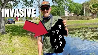 Catching Invasive Fish In South Florida