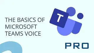 The Basics of Microsoft Teams