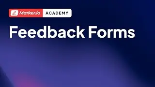 Marker.io 101 | 08 | Feedback Form Overview