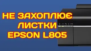 Принтер не захоплює бумагу Epson L805  - Принтер не бере бумагу