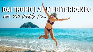 FROM THE TROPICS TO THE MEDITERRANEAN