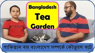 Sylhet Srimangal tour reaction video, SysTechs