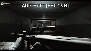 AUG Buff (EFT 0.13)