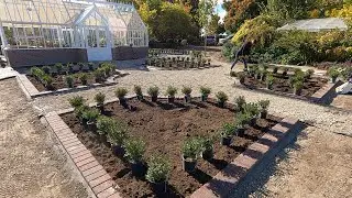 Planting Boxwoods Around the Hartley! 🤩🙌💃 // Garden Answer