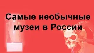 САМЫЕ НЕОБЫЧНЫЕ МУЗЕИ В РОССИИ