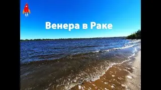 Венера в Раке психология любви и денег