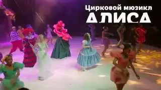 Цирковой мюзикл 