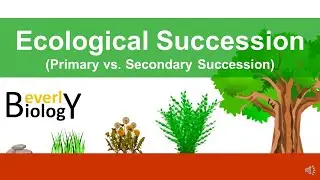 Ecological Succession (primary vs secondary)