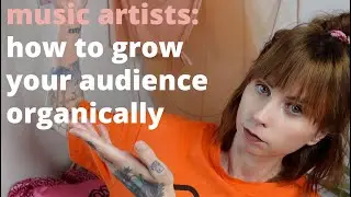 how to grow your fanbase through social media | music artist branding