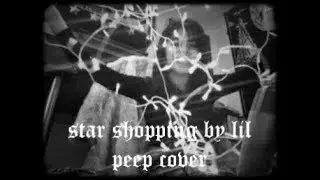 // star shopping by lil peep acoustic cover //