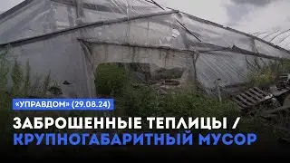 Заброшенные теплицы и крупногабаритный мусор / «Управдом» (29.07.24)