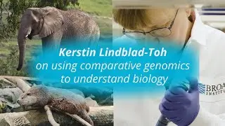 Kerstin Lindblad-Toh on using comparative genomics to understand biology