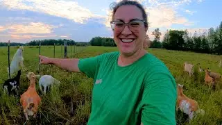 Countdown To FALL Kidding! (& Greenhouse/Garden Update) | Farm Life VLOG