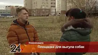 В Нижнекамске появится площадка для выгула собак