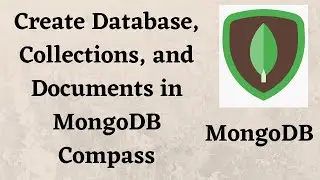 Create Database, Collections, and Documents in MongoDB Compass