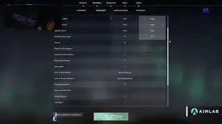 ACE CNED VALORANT SETTINGS
