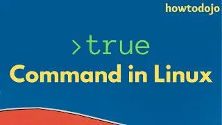 true Command in Linux