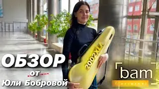 Кейс для скрипки BAM 2002XLA. Обзор от Юли