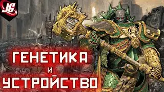 Генетика и устройство космодесанта | Лояльные ордена (Warhammer 40k)