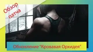 Обзор патча Blood Orchid. Там починили, тут поломали, как обычно!